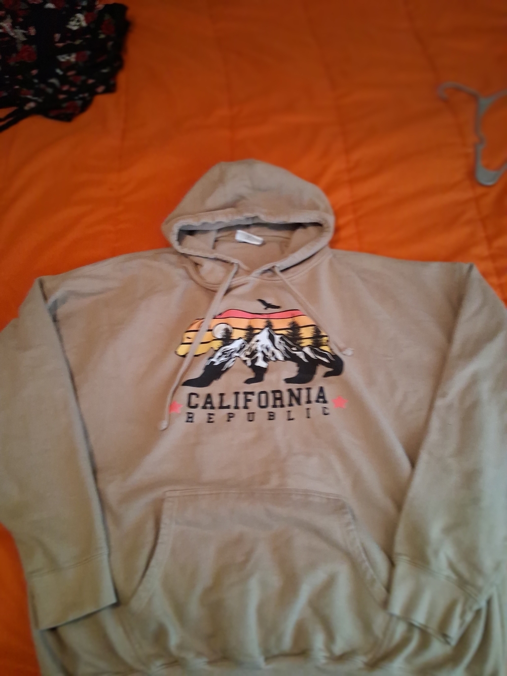 California Republic Shirt Mens 5XL Hoodie Sweatshirt Return Sender - Picture 3 of 5